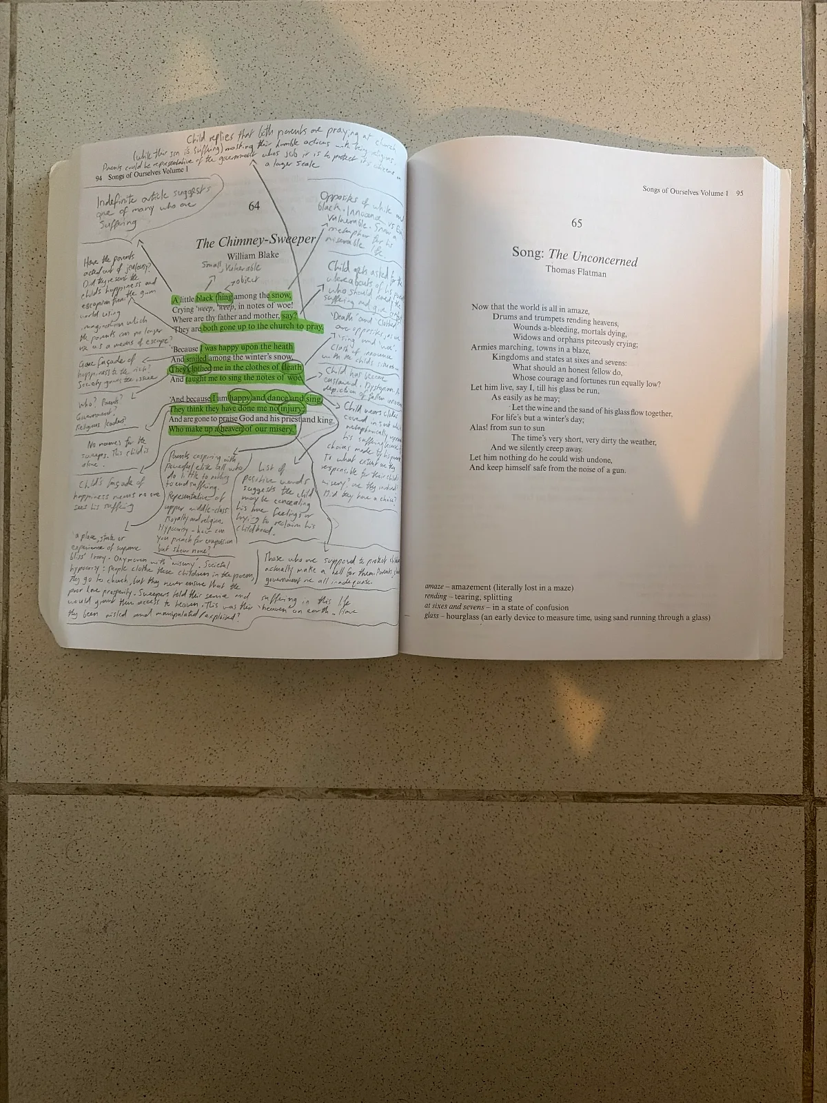 Songs of Ourselves: Volume 1: Cambridge Assessment International Education Anthology of Poetry in English — photo 3